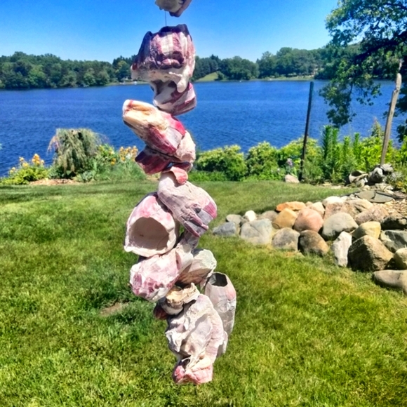 Shell decor Barnacle cluster art. Beach art - Picture 2 of 15